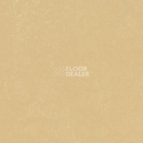Линолеум Forbo Marmoleum Decibel on Order 372635 venus фото 1 | FLOORDEALER